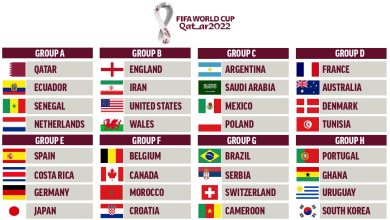 FIFA World Cup Match Schedule
