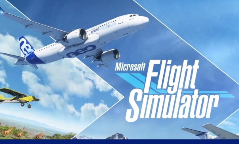 Microsoft Flight Simulator