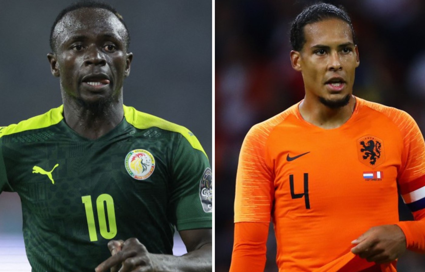 Senegal vs Netherlands World Cup