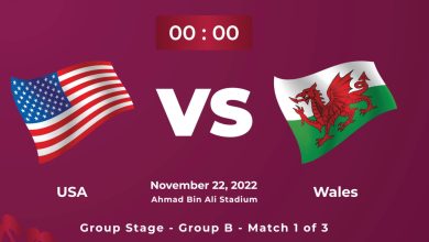 Wales vs USA FIFA World Cup