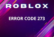 Error Code 273 Roblox