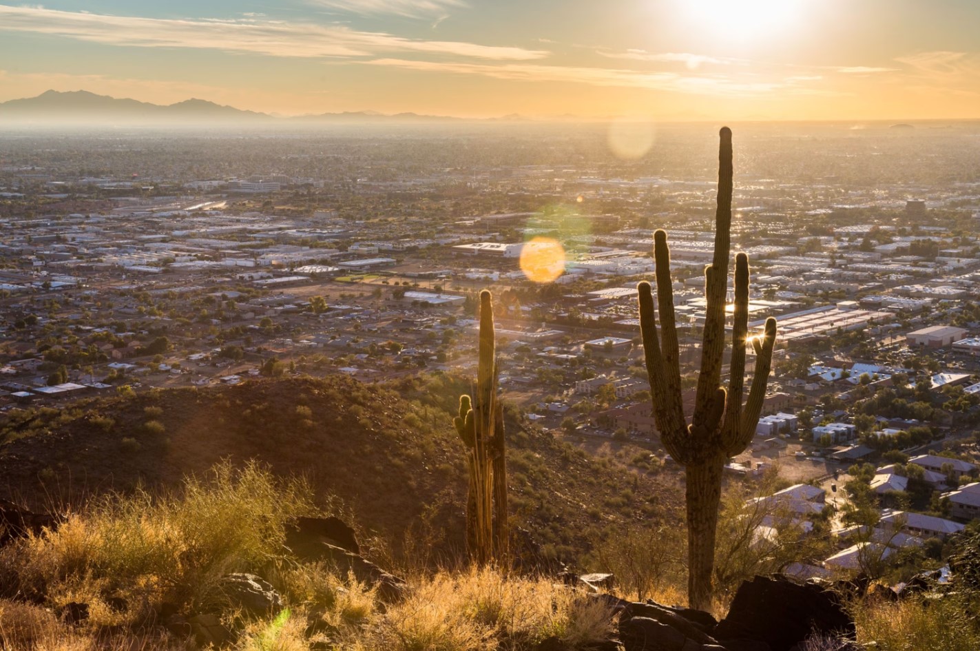 Phoenix Arizona, Population, Map, & Phoenix USA 2024