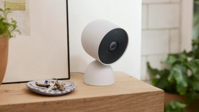 Google Home Cameras